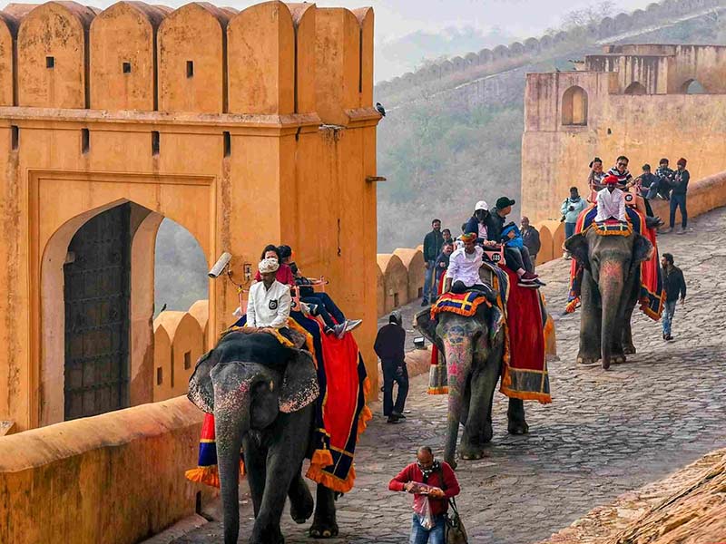 Affordable golden triangle tour