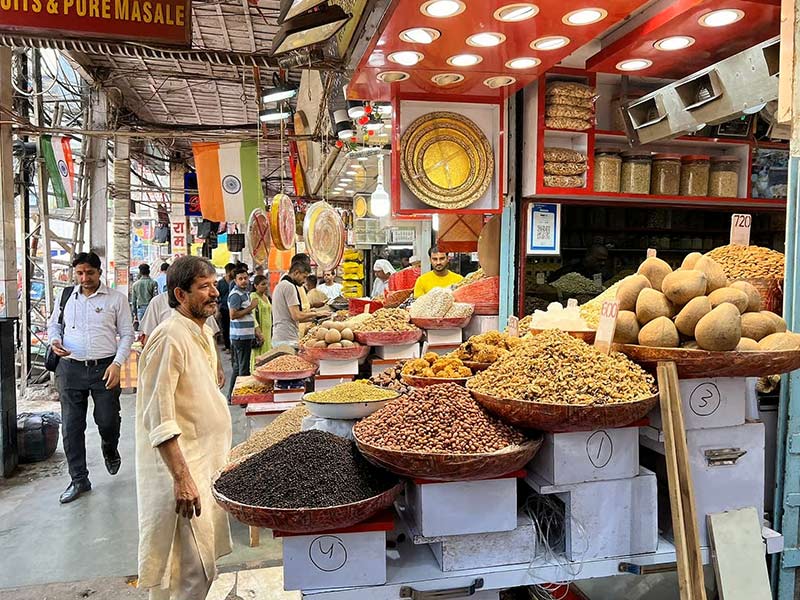 delhi agra tour by car