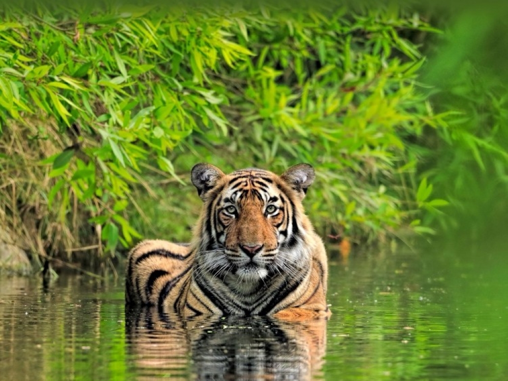 Affordable golden triangle tour